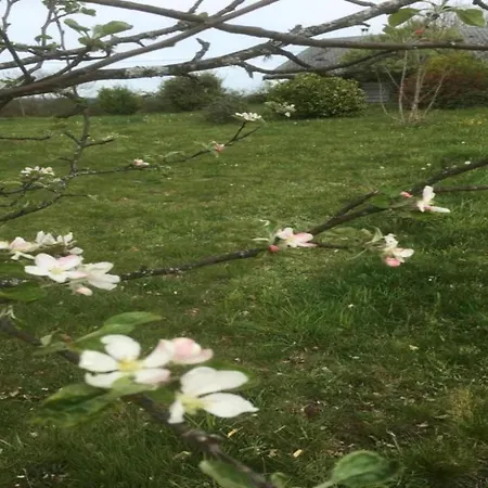 Hideaway In Feriehus *