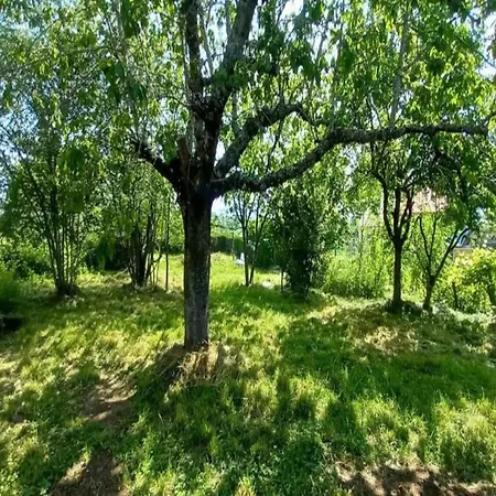 Feriehus Hideaway In Villeneuve-dʼAllier