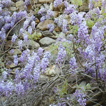 Hideaway In Feriehus *