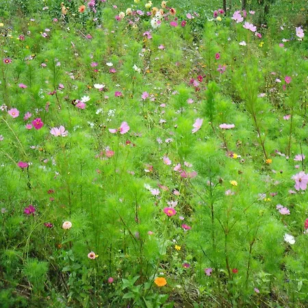 Feriehus Hideaway In